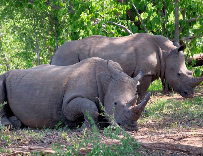 Mosi-oa-Tunya National Park